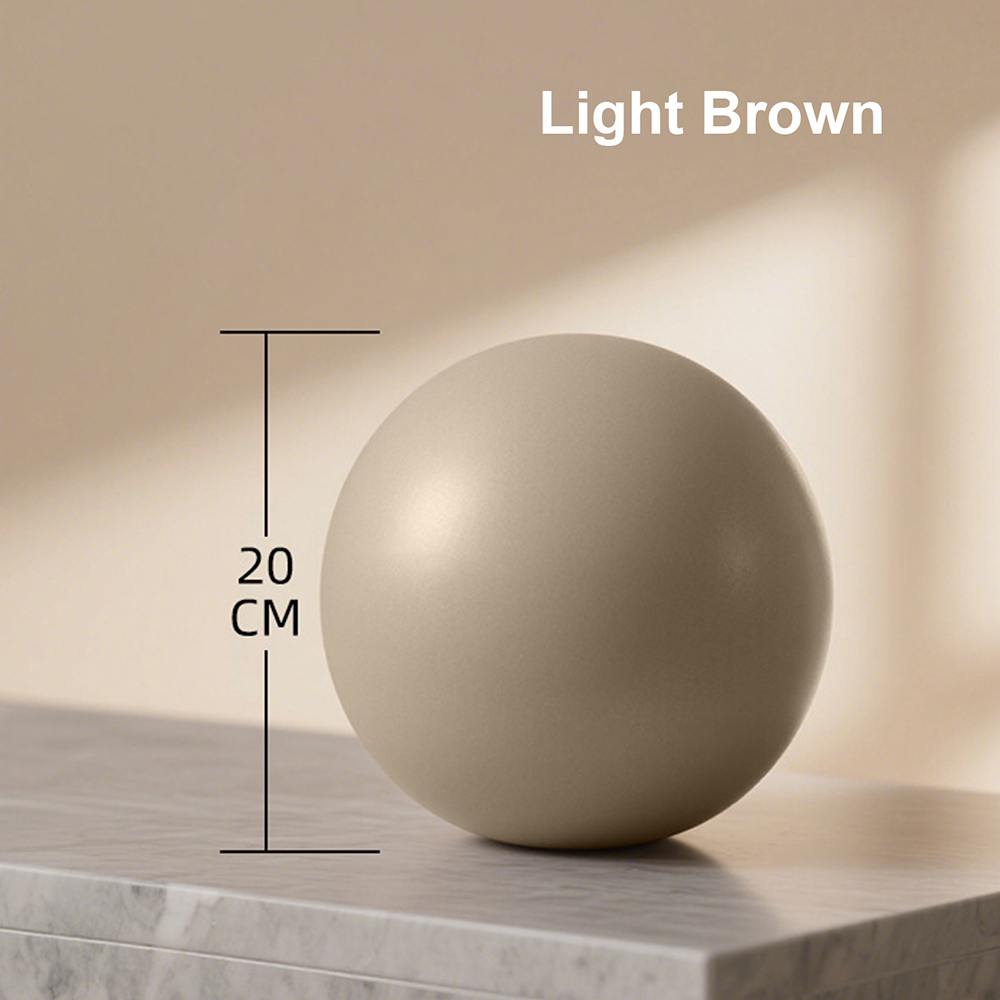 20cm Matte Exercise Ball Barre - Pilates Yoga Matte review and price